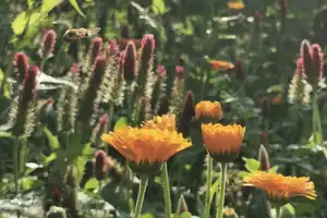 Neuwertiges Haus mit Naturgarten - Nachhaltigkeit und Luxus in Berlinnähe - Müncheberg! – Märkisch-Oderland (Kreis) – Vorschaubild 47