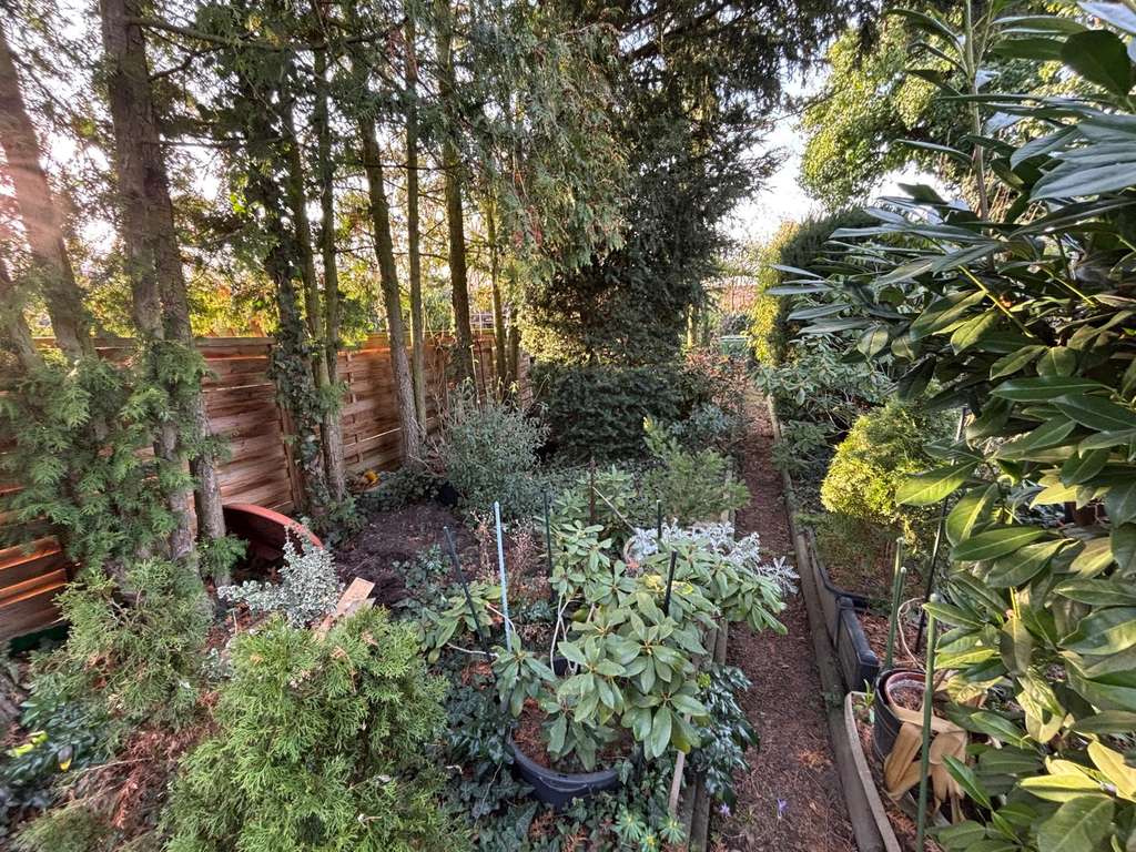 Immobilie in Weißenfels - Viel Potential in Siedlungslage am Stadtrand von Weißenfels - Bild 3