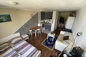 Alltagstaugliches 1-Zimmer-Apartment in der Mainzer Altstadt – Quintinsstraße 12, 55116 Altstadt, Mainz – Vorschaubild 2