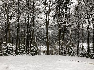 Ferienhaus im Harz Kapitalanlage / Renditeobjekt Sauna