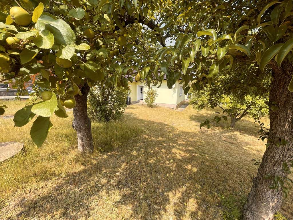 Immobilie in Zehdenick - Zehdenick: Handwerkerobjekt mit 697?m²  GST inkl. Garten, Garage & Schuppen - nur 1,3?km zum Bahnhof - Bild 4