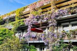 Property thumbnail 2