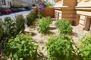 Property thumbnail 4