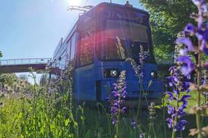 Property thumbnail 16