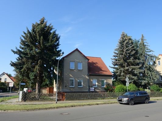 Partnersuche harz kreis