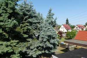 Doppelhaushälfte mit Ausbaupotential und großem Grundstück in Weinböhla – Meißen (Kreis) – Vorschaubild 11
