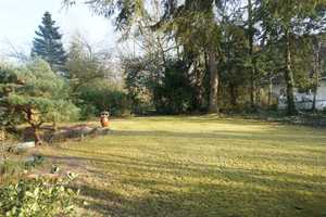Bungalow in Adendorf – Scharnebecker Weg 4, 21365 Lüneburg (Kreis) – Vorschaubild 4
