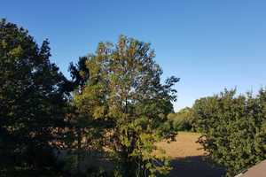 sanierter Resthof mitten im Landschaftsschutzgebiet – Viersen (Kreis) – Vorschaubild 16