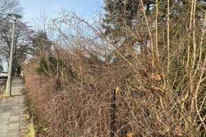 Property thumbnail 23