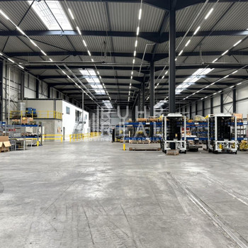 Provisionsfrei | Lager- & Produktionsfläche | 11,3 m UKB | ebenerdige Tore | RUHR REAL