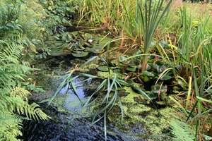 Property thumbnail 27