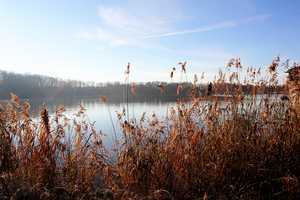 +++ Wohnen am Wasser +++ – Zwickau (Kreis) – Vorschaubild 12