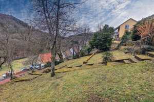 Dreifamilienhaus in Frankeneck – Bad Dürkheim (Kreis) – Vorschaubild 20