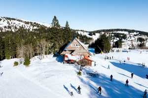 Feldberg: Bergchalet Grafenmatt und Ferienwohnung in einzigartiger Lage – Breisgau-Hochschwarzwald (Kreis) – Vorschaubild 2