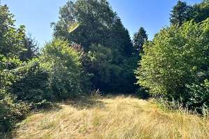 EFH mit Garten in bevorzugter Waldrandlage auf der Unner – Die vollständige Adresse der Immobilie erhältst du vom Anbieter., 66130 Güdingen, Saarbrücken – Vorschaubild 6