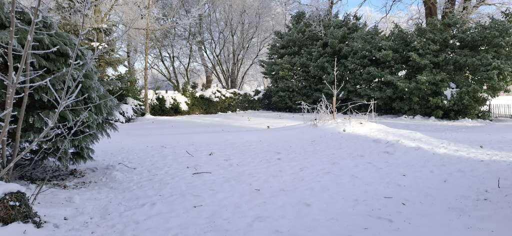 Immobilie in Stinstedt - Landidylle mit Platz für Pferde & Hobbys - Bild 4