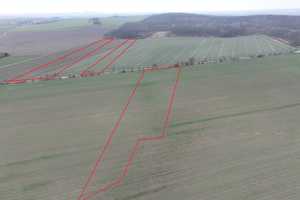 10 ha Anwesen mit großem Haus und Gewerbehalle – Nordsachsen (Kreis) – Vorschaubild 12