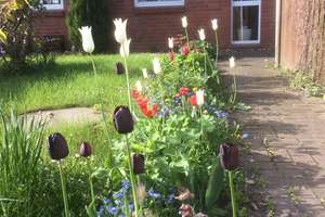 VERMIETET! Mittelreihenhaus mit drei Zimmern in ruhiger Lage mit Garten – Zum Schlagen 20, 23843 Travenbrück – Vorschaubild 3