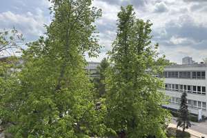 Sonnige 3-Zimmer - Familienwohnung mit Balkon & Loggia – Die vollständige Adresse der Immobilie erhältst du vom Anbieter., 13055 Alt-Hohenschönhausen, Berlin – Vorschaubild 9