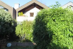 "ANGENEHMES WOHNERLEBNIS" - REIHENMITTELHAUS MIT POTENTIAL IN SACHSENHAUSEN – Sachsenhäusener Landwehrweg 254, 60598 Frankfurt am Main – Vorschaubild 10
