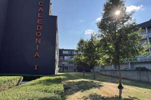 Gemütliche 1-Zimmer-Wohnung zur Miete in Münster | Wentzel Dr. – 48161 Gievenbeck, Münster – Vorschaubild 1