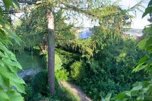 Leben im Grünen mitten in Stuttgart: WG-Zimmer im Stadthaus mit Garten & bester Lage! – Die vollständige Adresse der Immobilie erhältst du vom Anbieter., 70184 Bopser, Stuttgart – Vorschaubild 11