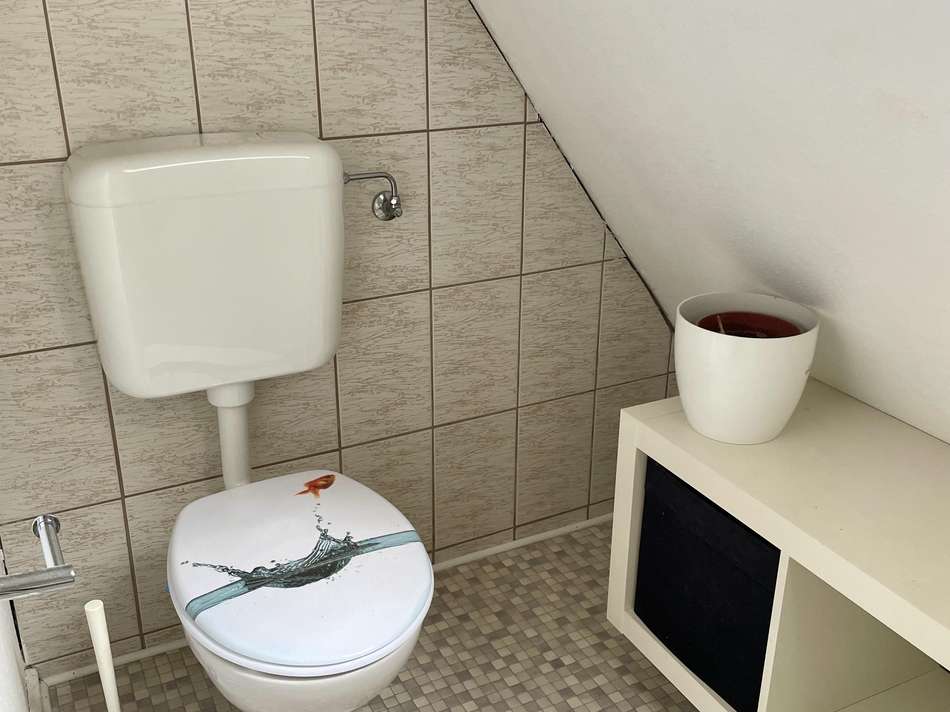 WC DG