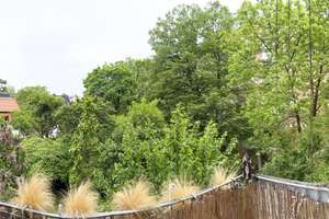 3 Zi. Altbauwohnung m. Süd-BLK zur ruhigen Ensemblegartenseite München Maxvorstadt Nähe Maßmannpark – Maßmannstraße 2, 80333 Augustenstraße, München – Vorschaubild 7