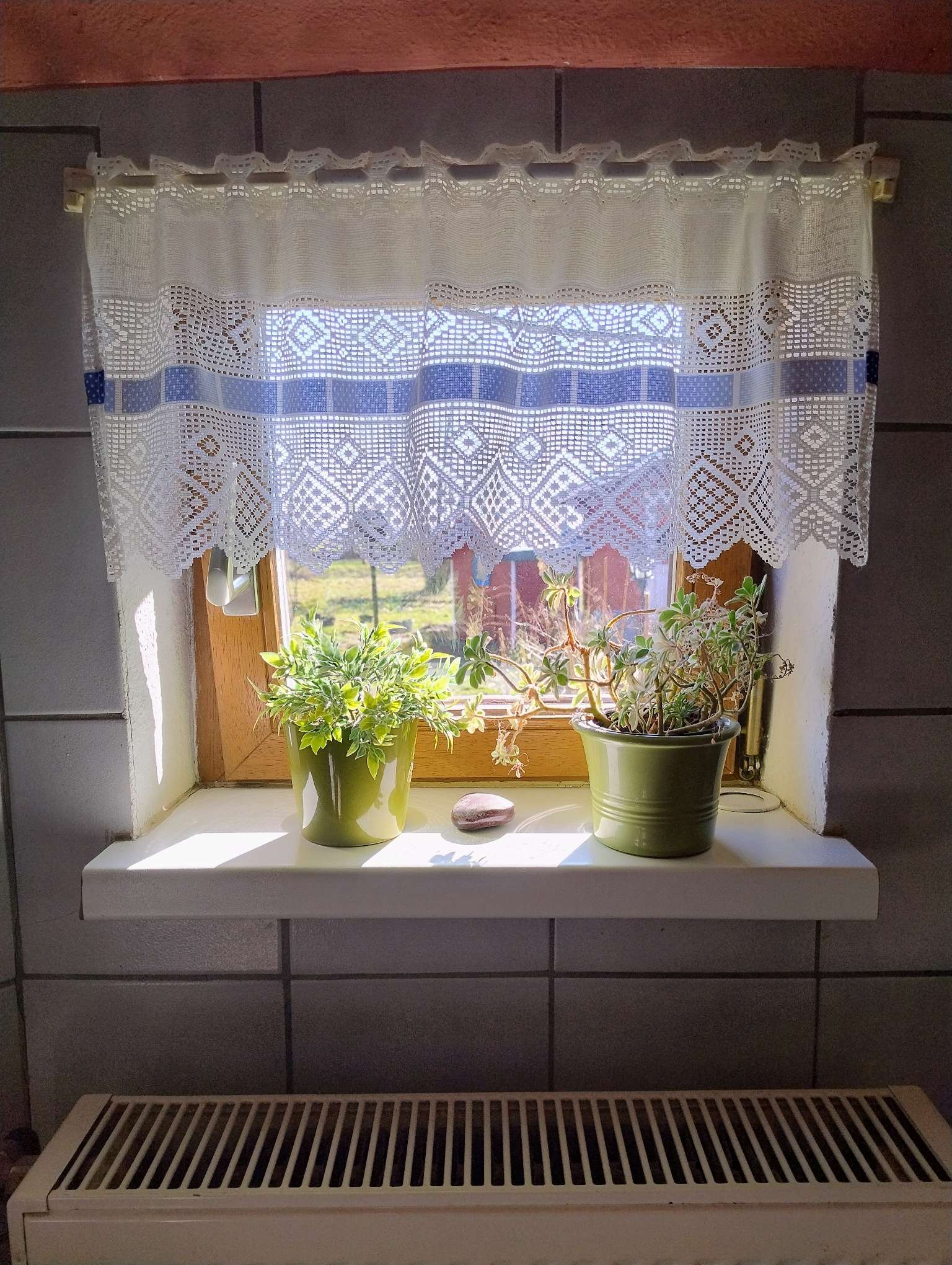 Immobilie in Ovelgönne - 204m entfernt vom Rest der Welt-Landhaus auf großem Grundstück - Bild 1