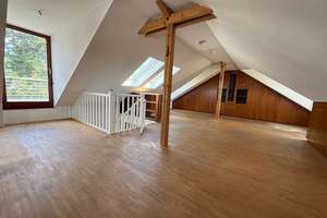 Modernes Einfamilienhaus in schöner Randlage mit Kamin, Garage, großer Garten und Dachterrasse! – 60599 Sachsenhausen-Süd, Frankfurt am Main – Vorschaubild 21