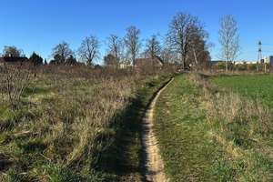 Jetzt bauen, ILB-Förderung nutzen: Grundstück + Massivhaus in Ahrensfelde-Eiche – provisionsfrei – Ahrensfelder Chaussee 15, 16356 Ahrensfelde – Vorschaubild 8