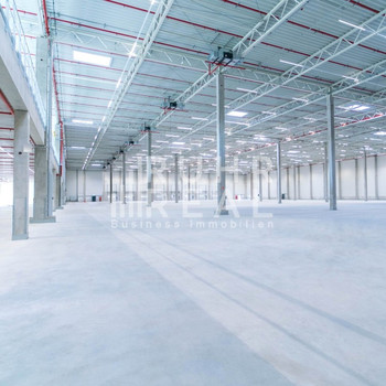 Logistikneubau in Sprockhövel | 26 Rampen | 3 ebenerdige Tore