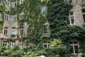 Altbauwohnung mit Einliegerwohnung im gefragten Gräfekiez – Die vollständige Adresse der Immobilie erhältst du vom Anbieter., 10967 Kreuzberg, Berlin – Vorschaubild 6