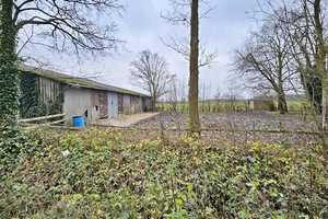 immo-schramm.de: Resthof mit Stall und Weideland, Einzellage – Osterholz (Kreis) – Vorschaubild 5