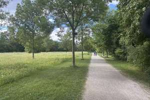 Großes helles Zimmer in freundlicher 4er-WG in Bogenhausen – Preziosastraße 37, 81927 Johanneskirchen, München – Vorschaubild 2