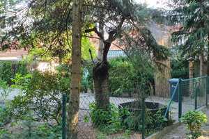 Einfamilienhaus mit kleiner Einliegerwohnung für den Naturliebhaber – Spree-Neiße (Kreis) – Vorschaubild 10
