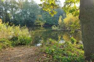 Haus am See - Bungalow in traumhafter Lage – Waidmannsring, 5, 25451 Quickborn – Vorschaubild 4