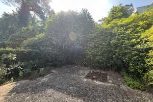 Ruhiges EndRH mit gr. Vollkeller + Einzelgarage am Waldpark Marienhöhe in Blankenese – Hamburg – Vorschaubild 8