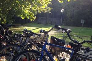 Property thumbnail 14