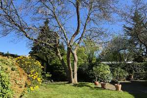 Architektenbungalow in 1a Wohnlage zum Schmölderpark gelegen ! Traumhafter Garten und Terrasse ! – Die vollständige Adresse der Immobilie erhältst du vom Anbieter., 41239 Schmölderpark, Mönchengladbach – Vorschaubild 19