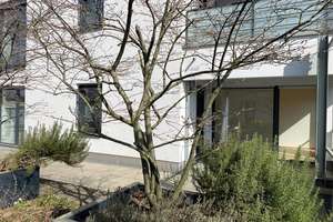 3-Zimmer-Dachterrassenwohnung direkt am Nymphenburger Park – Die vollständige Adresse der Immobilie erhältst du vom Anbieter., 80639 Nymphenburg, München – Vorschaubild 7