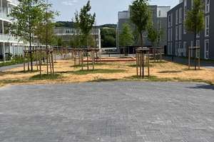 Großzügige und moderne 3-Zimmer-Wohnung in Heppenheim – 64646 Heppenheim (Bergstraße) – Vorschaubild 2