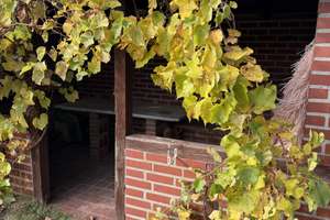 Freistehendes Einfamilienhaus mit Garage! Ruhige Lage! – Schellbergstr. 6, 41836 Hückelhoven – Vorschaubild 11