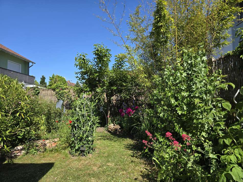 Garten Ansicht 3...