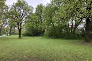 Property thumbnail 19