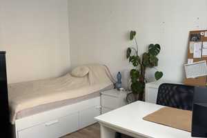 Dellviertel / Johanniterstraße,  1 1/2 Zi.-Wohnung zum 01.05.2025 zu vermieten – Johanniterstraße 86, 47053 Duisburg – Vorschaubild 8