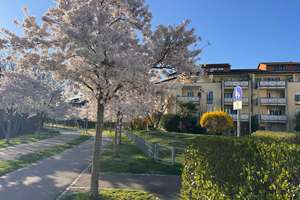 2-Zi.-Wohnung (50 qm) mit Seeblick aus allen Räumen & großer Loggia – nur wenige Meter zum Seepark F – Meckelhof 7, 79110 Alt-Betzenhausen, Freiburg im Breisgau – Vorschaubild 3
