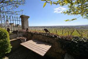 Wohnen über den Weinbergen – Exklusive Architektur trifft auf außergewöhnlichen Ausblick in Hochheim – Die vollständige Adresse der Immobilie erhältst du vom Anbieter., 65239 Hochheim am Main – Vorschaubild 3