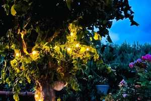 Charmantes Split-Level-Haus mit moderner Ausstattung und pflegeleichtem Garten! Ideal für die kleine – Wesermarsch (Kreis) – Vorschaubild 11