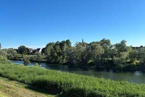 Direkt am Neckar! Haus mit 2-3 Wohneinheiten auf der "Insel" und viel Platz für Ihre Ideen – Hauptstraße 31, 68549 Ilvesheim – Vorschaubild 4